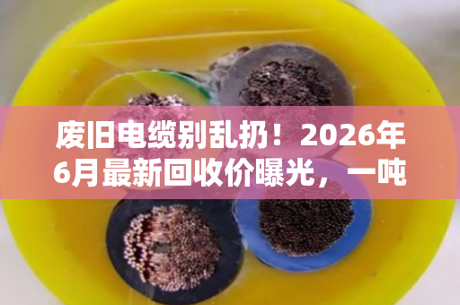 废旧电缆别乱扔！2026年6月最新回收价曝光，一吨能卖五六万
