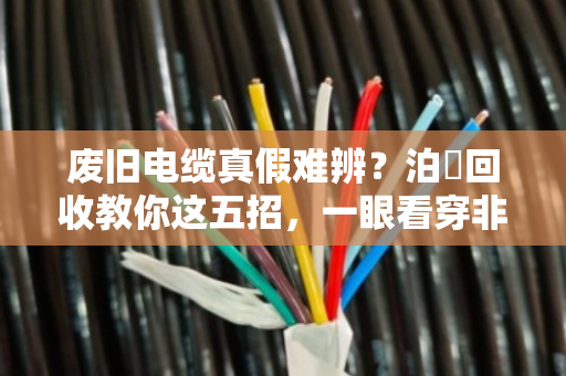 废旧电缆真假难辨？泊祎回收教你这五招，一眼看穿非标货