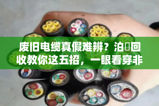 废旧电缆真假难辨？泊祎回收教你这五招，一眼看穿非标货