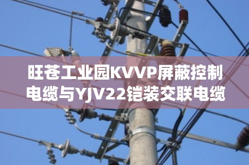 旺苍工业园KVVP屏蔽控制电缆与YJV22铠装交联电缆回收报价指南