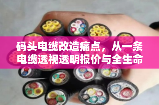 码头电缆改造痛点,从一条电缆透视透明报价与全生命周期成本 码头电缆改造痛点,从一条电缆透视透明报价与全生命周期成本