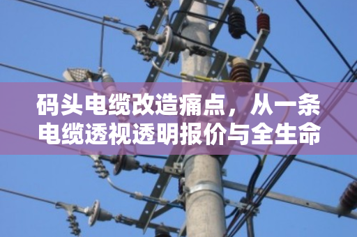 码头电缆改造痛点,从一条电缆透视透明报价与全生命周期成本 码头电缆改造痛点,从一条电缆透视透明报价与全生命周期成本