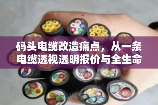 码头电缆改造痛点，从一条电缆透视透明报价与全生命周期成本