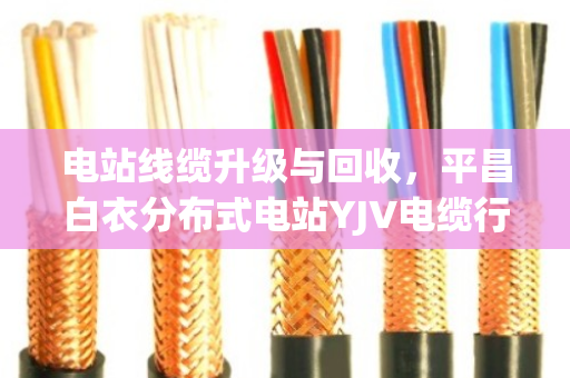 电站线缆升级与回收,平昌白衣分布式电站YJV电缆行情与KVVP屏蔽线缆价值评估 电站线缆升级与回收,平昌白衣分布式电站YJV电缆行情与KVVP屏蔽线缆价值评估