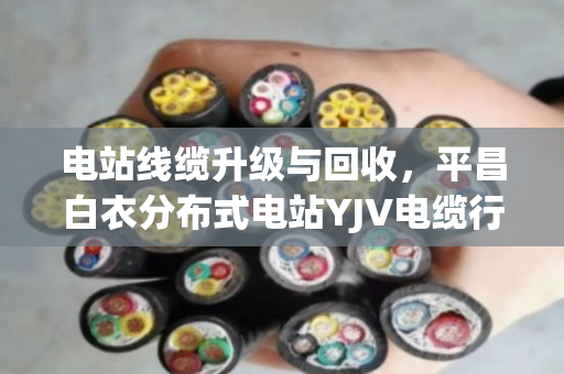 电站线缆升级与回收,平昌白衣分布式电站YJV电缆行情与KVVP屏蔽线缆价值评估 电站线缆升级与回收,平昌白衣分布式电站YJV电缆行情与KVVP屏蔽线缆价值评估