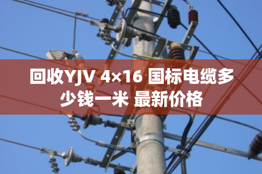 回收YJV 4×16 国标电缆多少钱一米 最新价格 回收YJV 4×16 国标电缆多少钱一米 最新价格