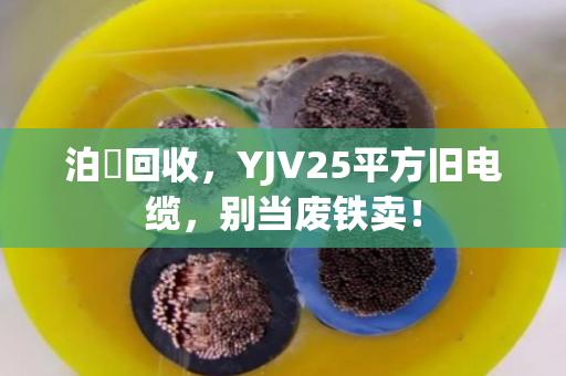 泊祎回收，YJV25平方旧电缆，别当废铁卖！