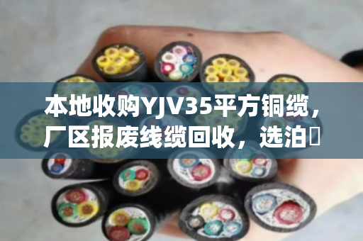 本地收购YJV35平方铜缆，厂区报废线缆回收，选泊祎回收更省心