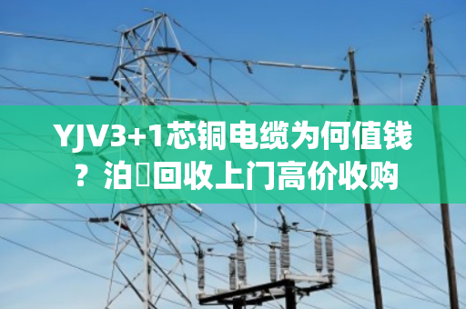 YJV3+1芯铜电缆为何值钱？泊祎回收上门高价收购