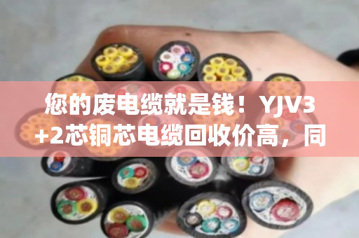 您的废电缆就是钱!YJV3+2芯铜芯电缆回收价高,同城上门就找泊祎回收 您的废电缆就是钱!YJV3+2芯铜芯电缆回收价高,同城上门就找泊祎回收