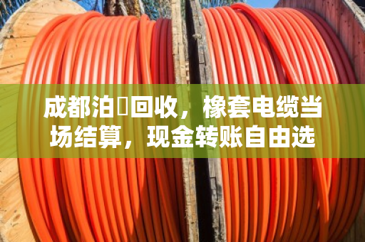 成都泊祎回收,橡套电缆当场结算,现金转账自由选 成都泊祎回收,橡套电缆当场结算,现金转账自由选