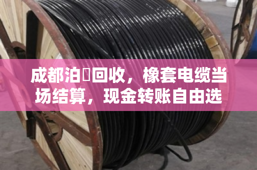 成都泊祎回收，橡套电缆当场结算，现金转账自由选