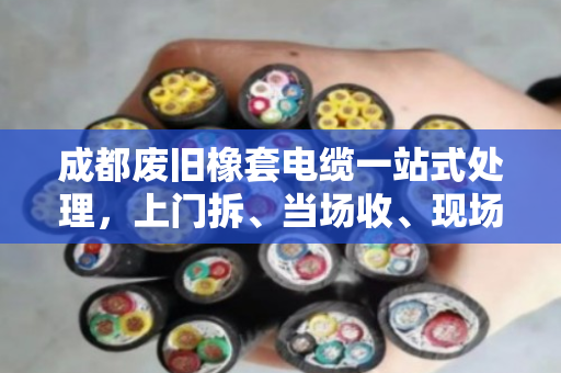成都废旧橡套电缆一站式处理,上门拆、当场收、现场清 成都废旧橡套电缆一站式处理,上门拆、当场收、现场清