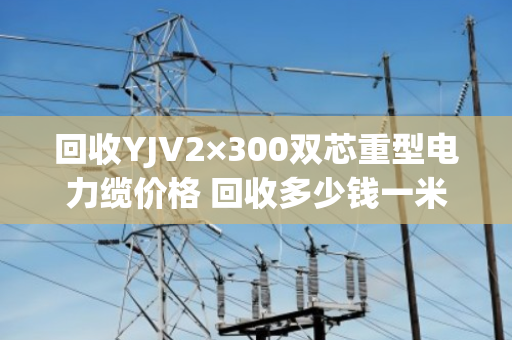 回收YJV2×300双芯重型电力缆价格 回收多少钱一米 回收YJV2×300双芯重型电力缆价格 回收多少钱一米