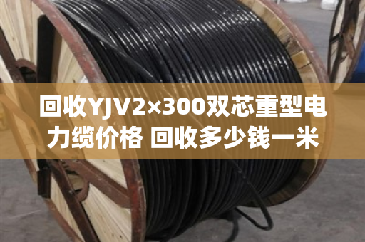 回收YJV2×300双芯重型电力缆价格 回收多少钱一米 回收YJV2×300双芯重型电力缆价格 回收多少钱一米