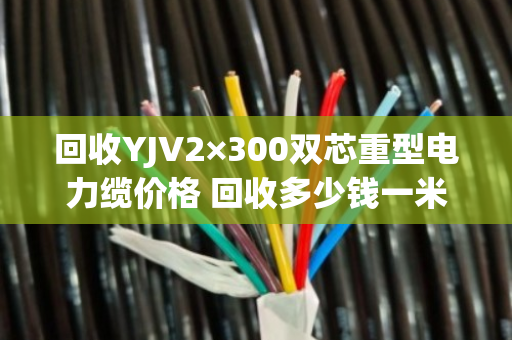 回收YJV2×300双芯重型电力缆价格 回收多少钱一米