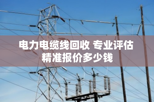 电力电缆线回收 专业评估 精准报价多少钱