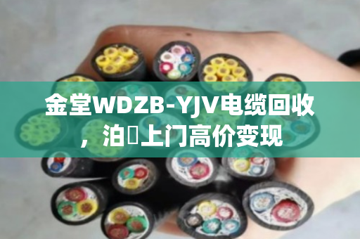 金堂WDZB-YJV电缆回收,泊祎上门高价变现 金堂WDZB-YJV电缆回收,泊祎上门高价变现