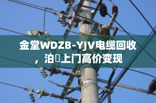 金堂WDZB-YJV电缆回收,泊祎上门高价变现 金堂WDZB-YJV电缆回收,泊祎上门高价变现