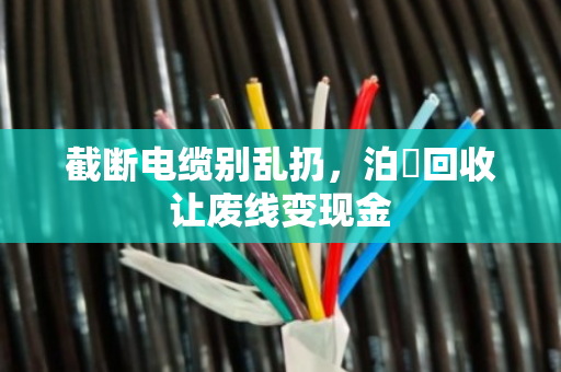 截断电缆别乱扔,泊祎回收让废线变现金 截断电缆别乱扔,泊祎回收让废线变现金