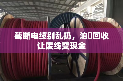 截断电缆别乱扔，泊祎回收让废线变现金