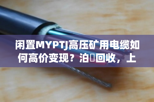 闲置MYPTJ高压矿用电缆如何高价变现?泊祎回收,上门定价、当场结款,让资产不贬值 闲置MYPTJ高压矿用电缆如何高价变现?泊祎回收,上门定价、当场结款,让资产不贬值