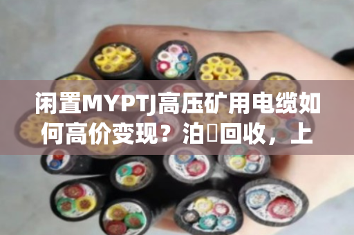 闲置MYPTJ高压矿用电缆如何高价变现?泊祎回收,上门定价、当场结款,让资产不贬值 闲置MYPTJ高压矿用电缆如何高价变现?泊祎回收,上门定价、当场结款,让资产不贬值