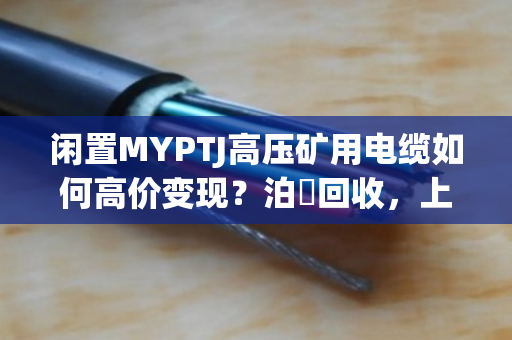 闲置MYPTJ高压矿用电缆如何高价变现？泊祎回收，上门定价、当场结款，让资产不贬值