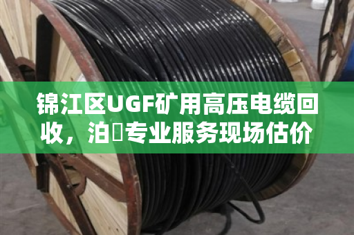 锦江区UGF矿用高压电缆回收,泊祎专业服务现场估价结算 锦江区UGF矿用高压电缆回收,泊祎专业服务现场估价结算