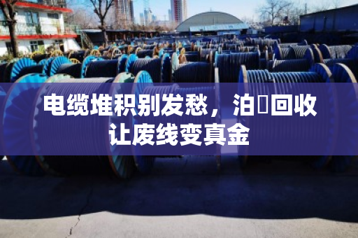 电缆堆积别发愁,泊祎回收让废线变真金 电缆堆积别发愁,泊祎回收让废线变真金