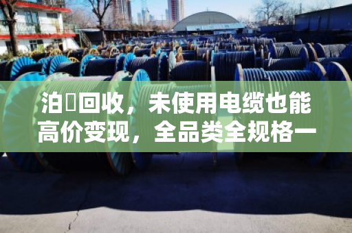 泊祎回收,未使用电缆也能高价变现,全品类全规格一站解决 泊祎回收,未使用电缆也能高价变现,全品类全规格一站解决