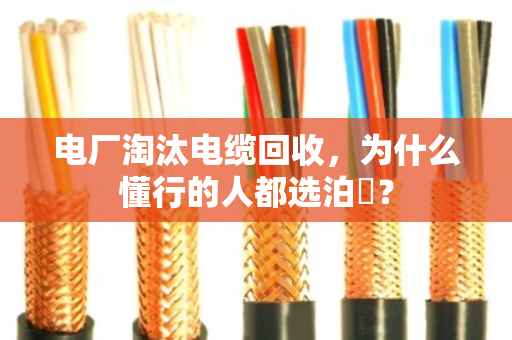 电厂淘汰电缆回收,为什么懂行的人都选泊祎? 电厂淘汰电缆回收,为什么懂行的人都选泊祎?