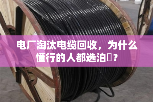 电厂淘汰电缆回收，为什么懂行的人都选泊祎？