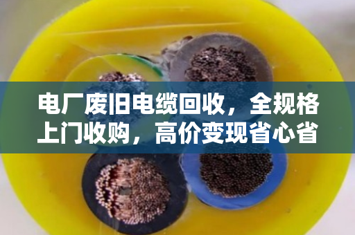 电厂废旧电缆回收，全规格上门收购，高价变现省心省力
