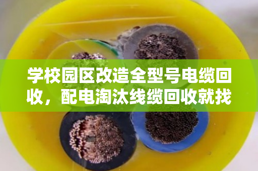 学校园区改造全型号电缆回收,配电淘汰线缆回收就找泊祎回收 学校园区改造全型号电缆回收,配电淘汰线缆回收就找泊祎回收