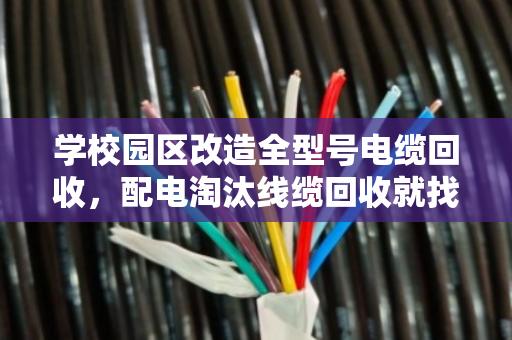 学校园区改造全型号电缆回收，配电淘汰线缆回收就找泊祎回收