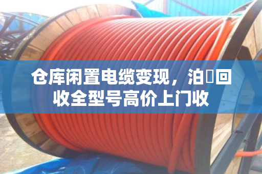 仓库闲置电缆变现,泊祎回收全型号高价上门收 仓库闲置电缆变现,泊祎回收全型号高价上门收