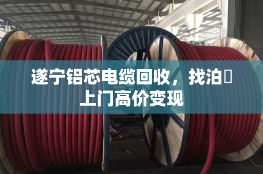遂宁铝芯电缆回收,找泊祎上门高价变现 遂宁铝芯电缆回收,找泊祎上门高价变现