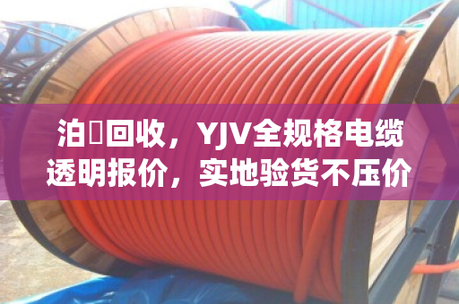 泊祎回收，YJV全规格电缆透明报价，实地验货不压价