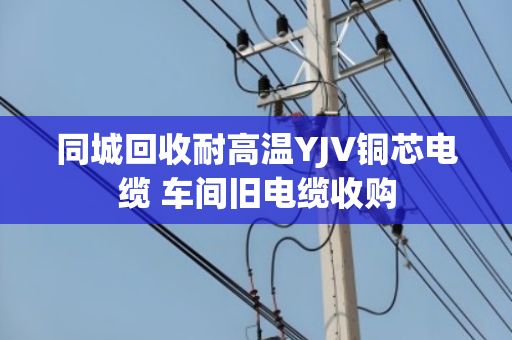 同城回收耐高温YJV铜芯电缆 车间旧电缆收购