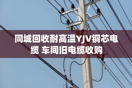 同城回收耐高温YJV铜芯电缆 车间旧电缆收购