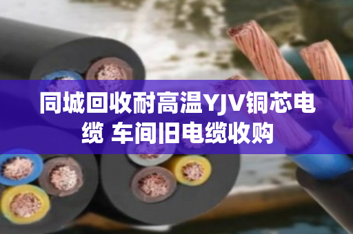 同城回收耐高温YJV铜芯电缆 车间旧电缆收购