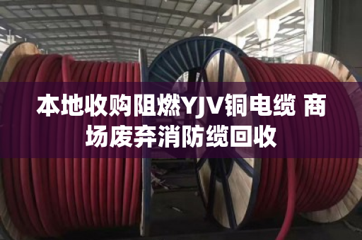 本地收购阻燃YJV铜电缆 商场废弃消防缆回收
