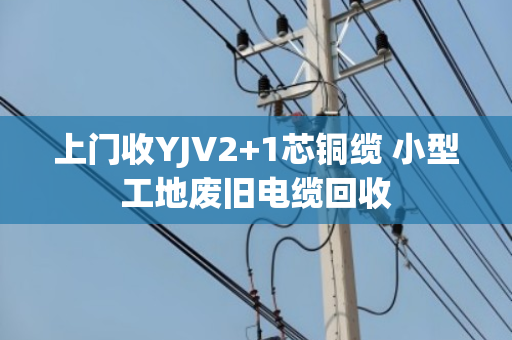 上门收YJV2+1芯铜缆 小型工地废旧电缆回收 上门收YJV2+1芯铜缆 小型工地废旧电缆回收