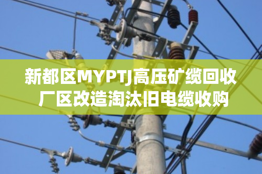 新都区MYPTJ高压矿缆回收 厂区改造淘汰旧电缆收购 新都区MYPTJ高压矿缆回收 厂区改造淘汰旧电缆收购
