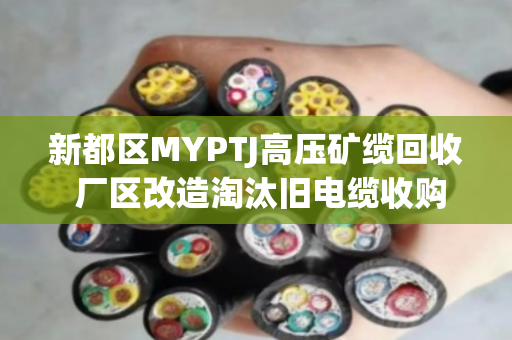 新都区MYPTJ高压矿缆回收 厂区改造淘汰旧电缆收购 新都区MYPTJ高压矿缆回收 厂区改造淘汰旧电缆收购