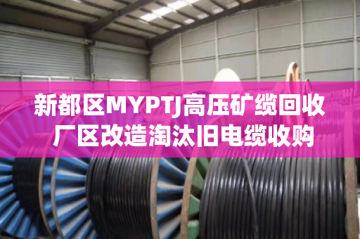 新都区MYPTJ高压矿缆回收 厂区改造淘汰旧电缆收购