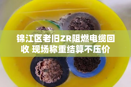 锦江区老旧ZR阻燃电缆回收 现场称重结算不压价