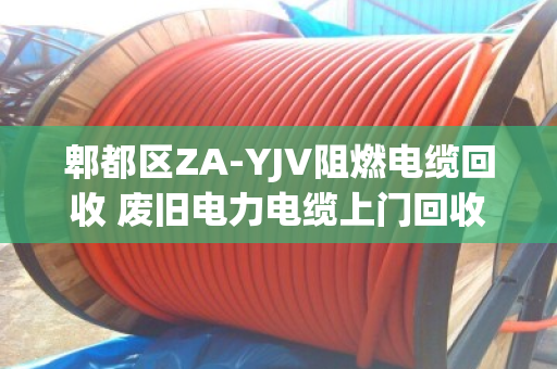 郫都区ZA-YJV阻燃电缆回收 废旧电力电缆上门回收服务 郫都区ZA-YJV阻燃电缆回收 废旧电力电缆上门回收服务