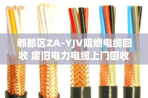 郫都区ZA-YJV阻燃电缆回收 废旧电力电缆上门回收服务 郫都区ZA-YJV阻燃电缆回收 废旧电力电缆上门回收服务